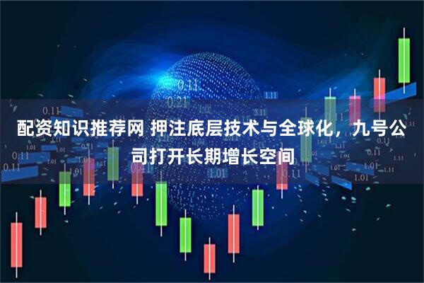 配资知识推荐网 押注底层技术与全球化，九号公司打开长期增长空间